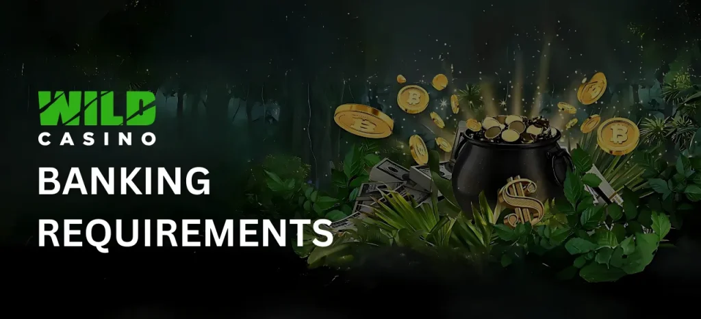 Banking Requirements for Wild Casino