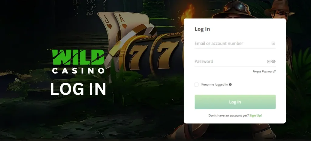 How to Log In at Wild Casino